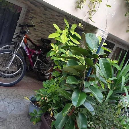 Daire Bougainville Place *